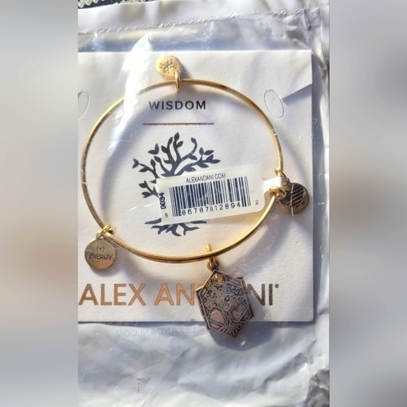 Unworn Alex and Ani 'Wisdom' Bangle Bracelet - Expandable Fit - Picture 1 of 5